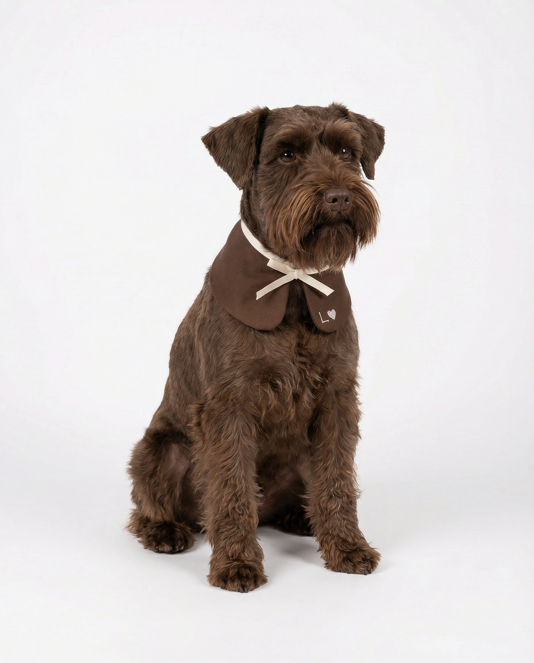 schnauzercollar.png