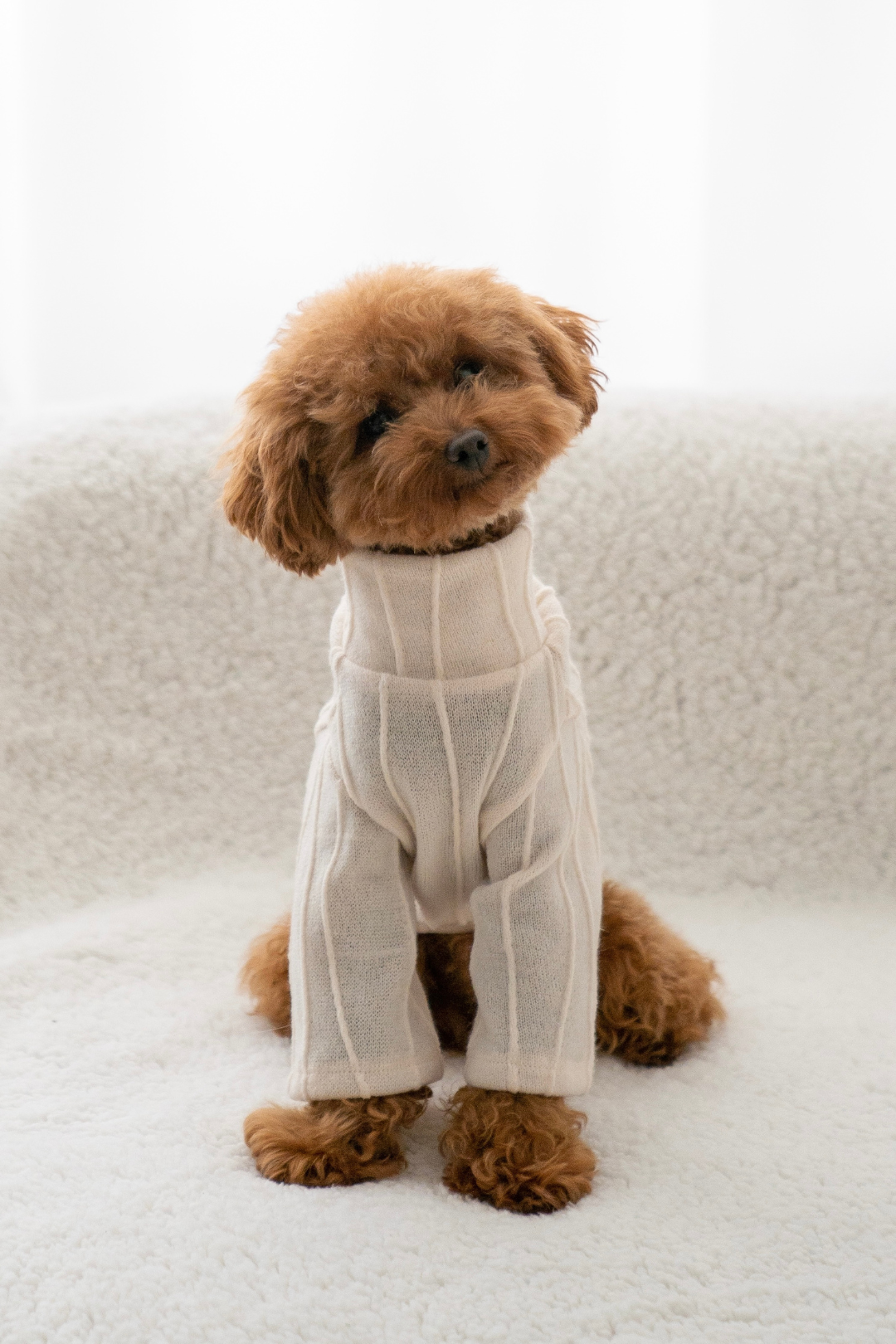 Ellery Pets